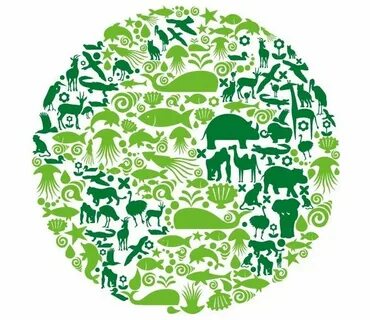 Save the environment and eat organic