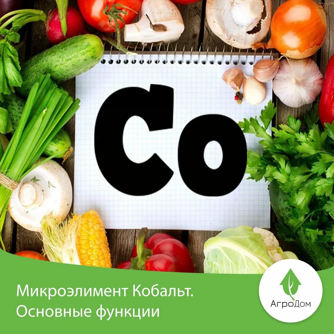 Кобальт микроэлемент. Кобальт в продуктах. кобальт в организме человека.