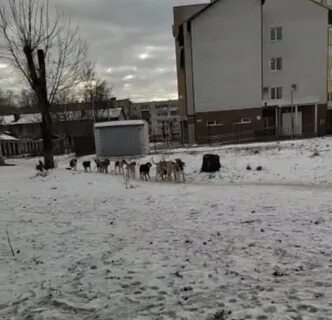 Котовского 27 детская