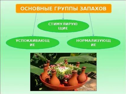 Как запахи влияют на человека