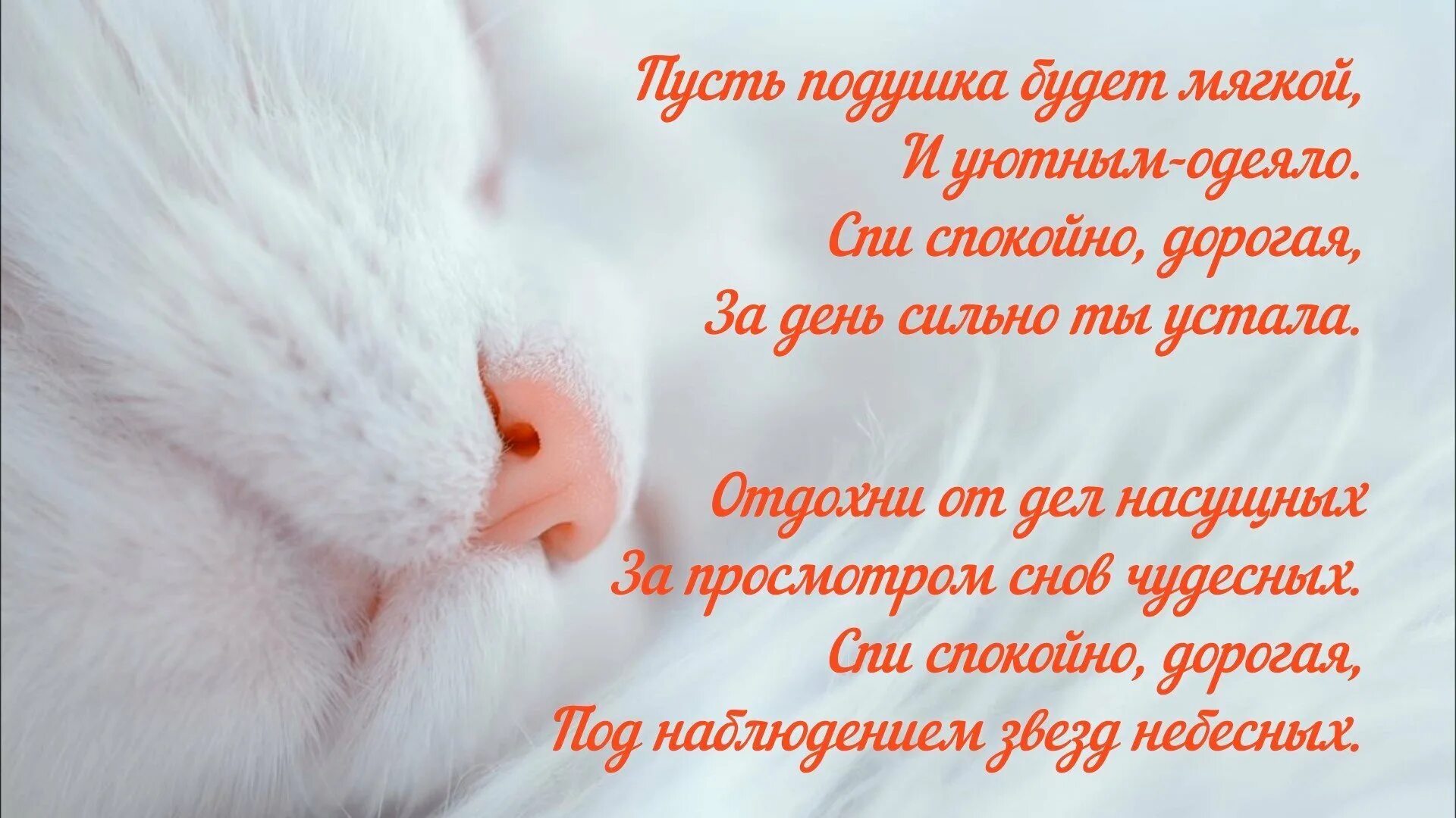 Пожелания спокойной ночи девушке своими словами картинки. Пусть милая тебе спокойно. Хорошей ночи. Спокойной ночи любимому оригинальные. Спокойной ночи картинки для девушки.