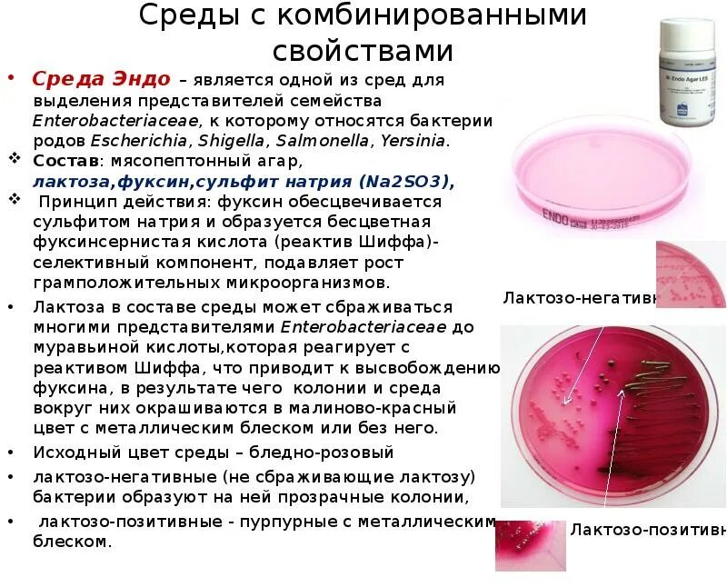 Ферментация лактозы. Среда Эндо микробиология. Принцип работы лактозосодержащих питательных сред. Мясо пептонный агар среда микробиология. Питательная среда Эндо.