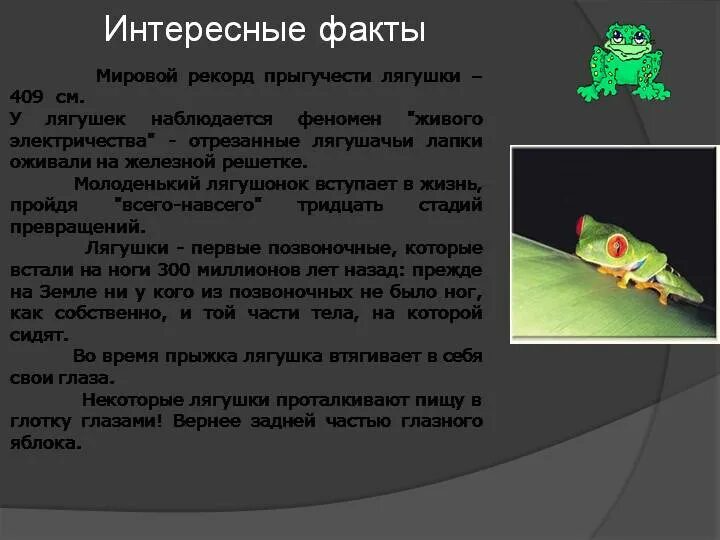 Интересные факты о лягушках. Факты о лягушках. самые интересные факты о лягушках. забавные факты о лягушках. интересные факты о лягушках для детей.