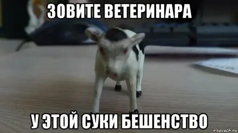Эй лови