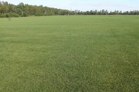 Земельные участки зеленое