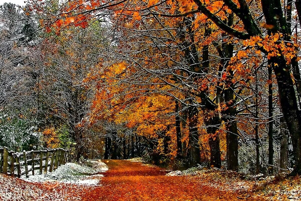 Ноябрь картинки. Осень ноябрь. Ноябрь природа. Поздняя осень, предзимье. Октябрь поздняя осень.