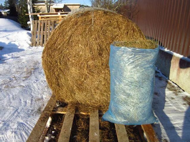 Тюк сена 400 кг. Клевер сено. Сено и солома разница. Сено в кипах. Рулон сена 120.