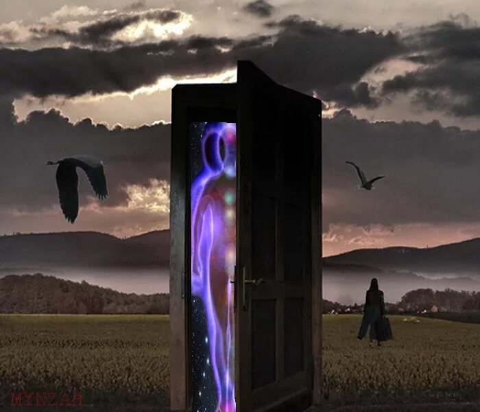 Фотоманипуляции эрика йоханссона. Эрик йоханссон. Дверь в параллельный мир. Дверь в другую реальность. Дверь в сказочный мир.