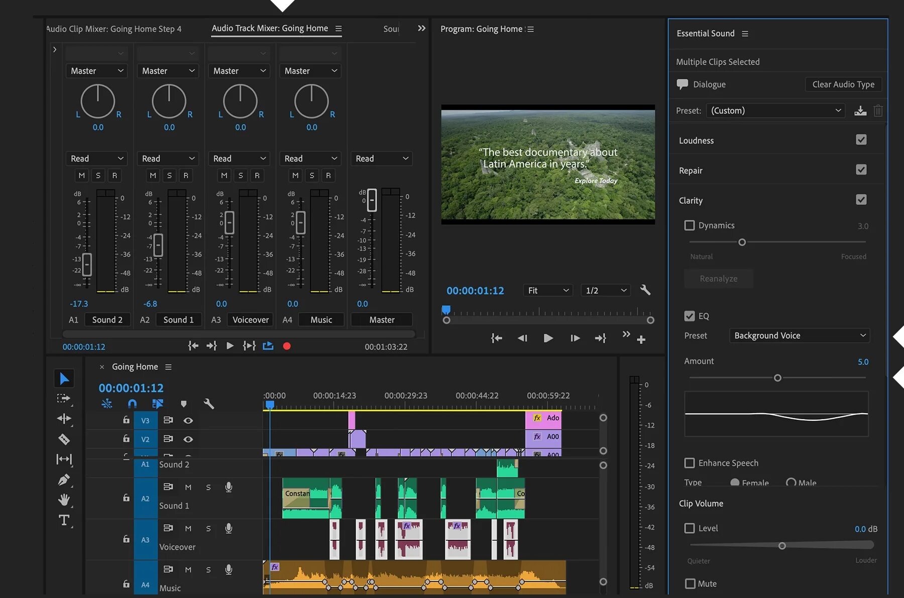 Waveform Adobe Premiere Pro. Ducking Premiere Pro. Adobe enhance Speech. Adobe Voice Enhancer. Element audio