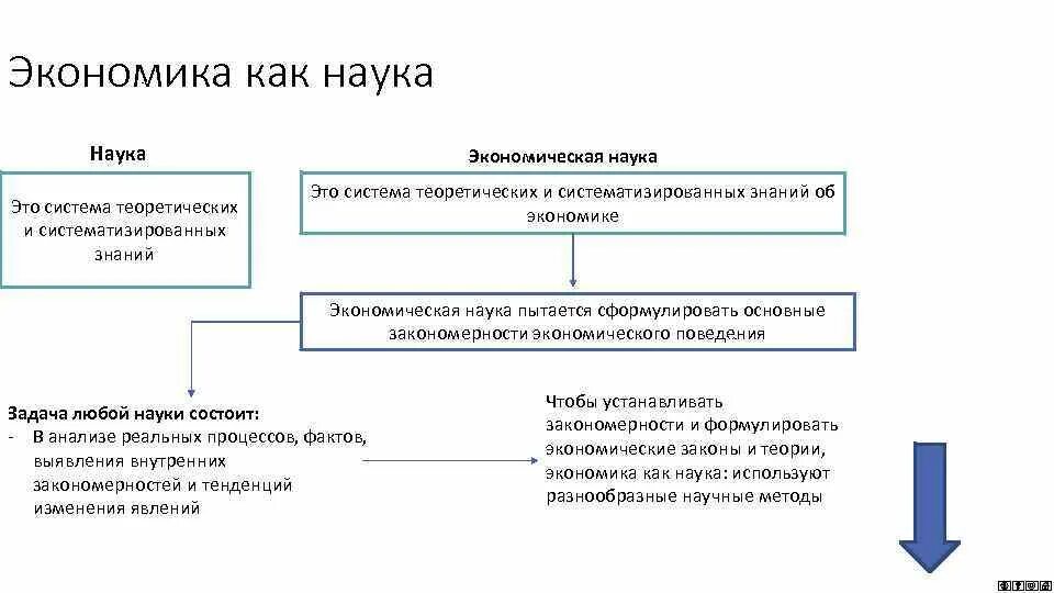 Экономика как наука вопросы