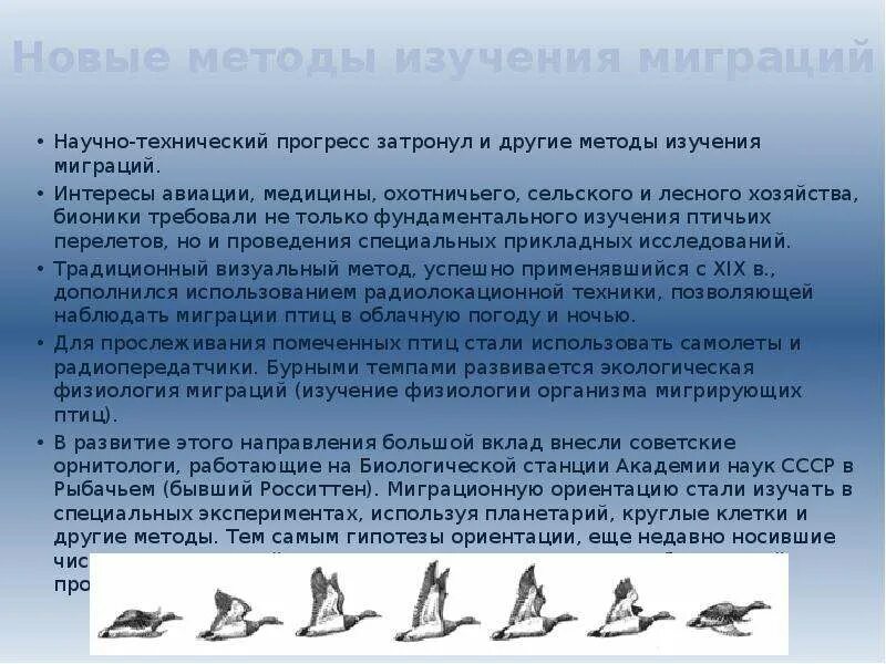 Изучение миграции. Гипотезы исследования миграции. миграция птиц презентация. методы исследования миграции. станция миграция птиц.