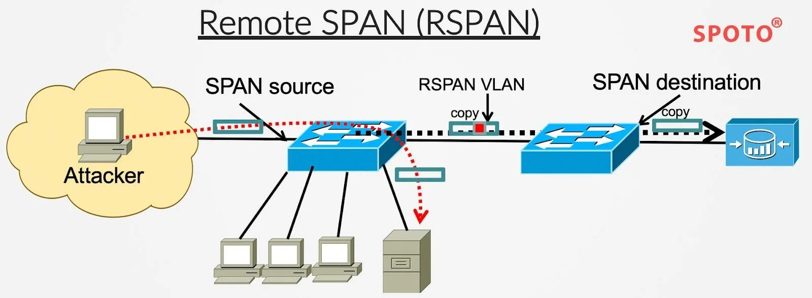 Span сети