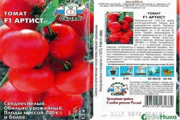 Томат сорт абруццо описание. Томаты артист описание сорта. томат победитель характеристика. томат артист характеристика и описание. сорта помидор f1.