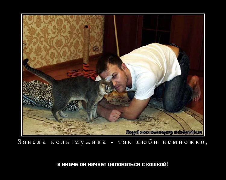 прикольные кошки с надписями. прикол про кота и мужика. хочется затискать. кот и хозяин. смешные котята.