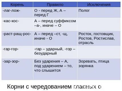 Слова с суффиксом лаг