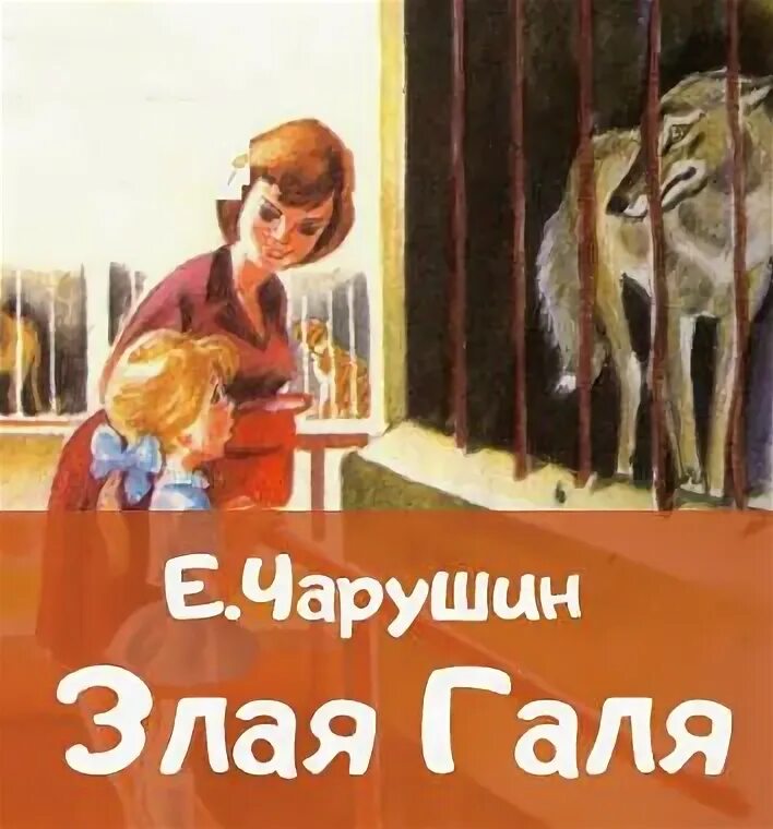 Злая галя. Злая галя. Приколы про галину. Чарушин друзья сколько страниц в рассказе. Содержание книги чарушин.