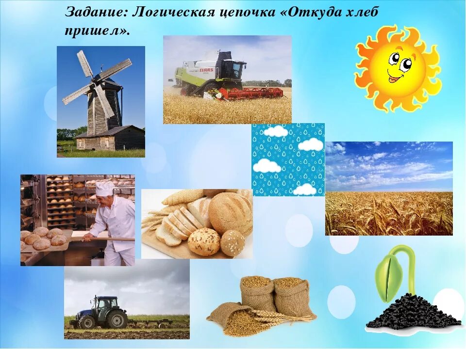 Хлеб для дошкольников. Тема занятия откуда хлеб пришел. Путь хлеба на стол. От зернышка до хлеба. Откуда хлеб пришел подготовительная