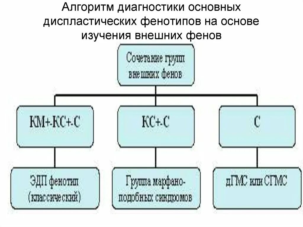 Исправьте ошибку в утверждении фенотипом