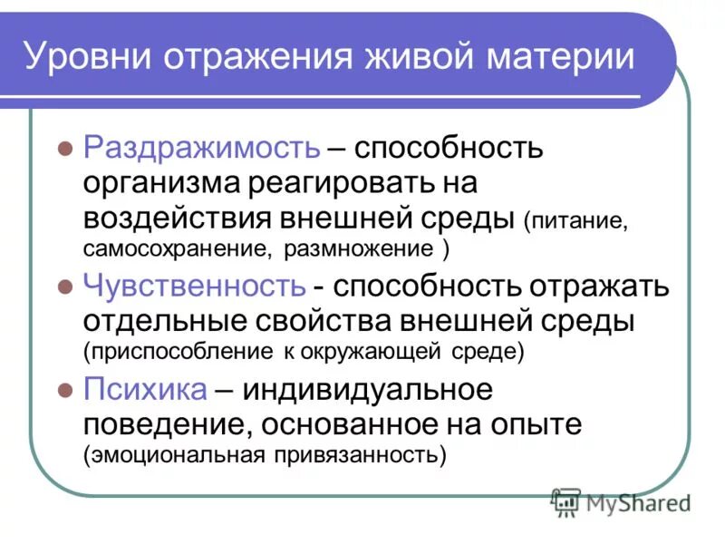 3 уровня отражения