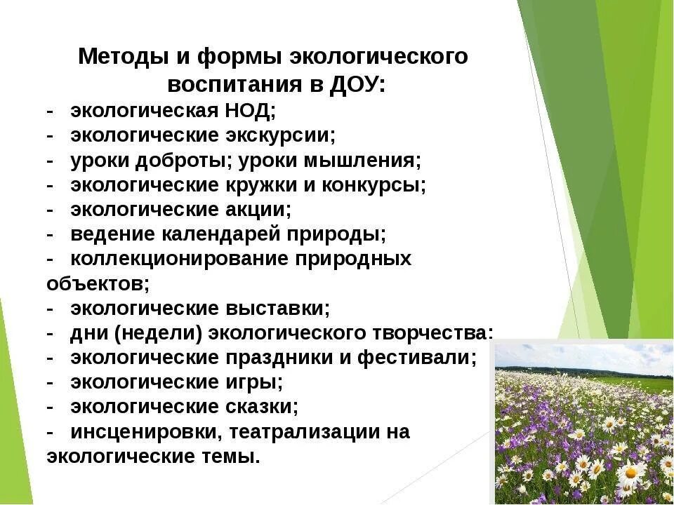 Средства экологического образования. Формы работы по экологическому воспитанию в ДОУ. Методы и формы экологическое воспитание дошкольников в ДОУ. Формы методы в экологическом воспитании в ДОУ. Методы и приемы экологического воспитания дошкольников.