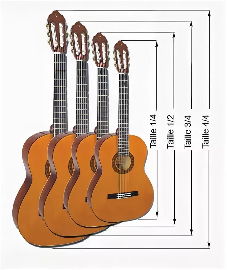 Мензура гитары 4/4. Мензура гитары 1/2. Размер гитары 4/4 что это. Классическая гитара 4/4 габариты.