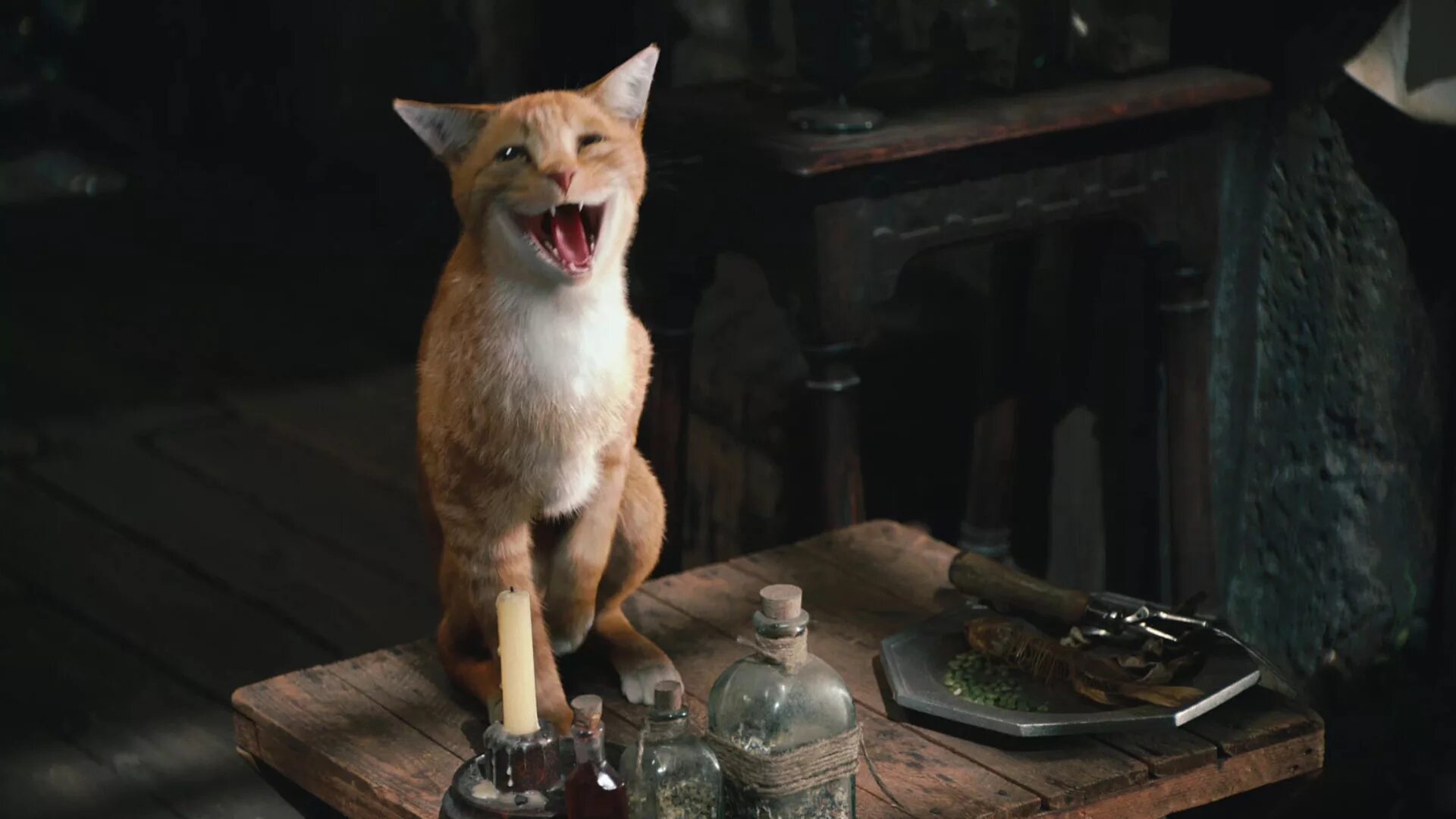 Смурфики 2 азраэль. Плюшевая игрушка смурфик. Кот азраэль из смурфиков. Кот смурф. Азраэль кот гаргамеля.