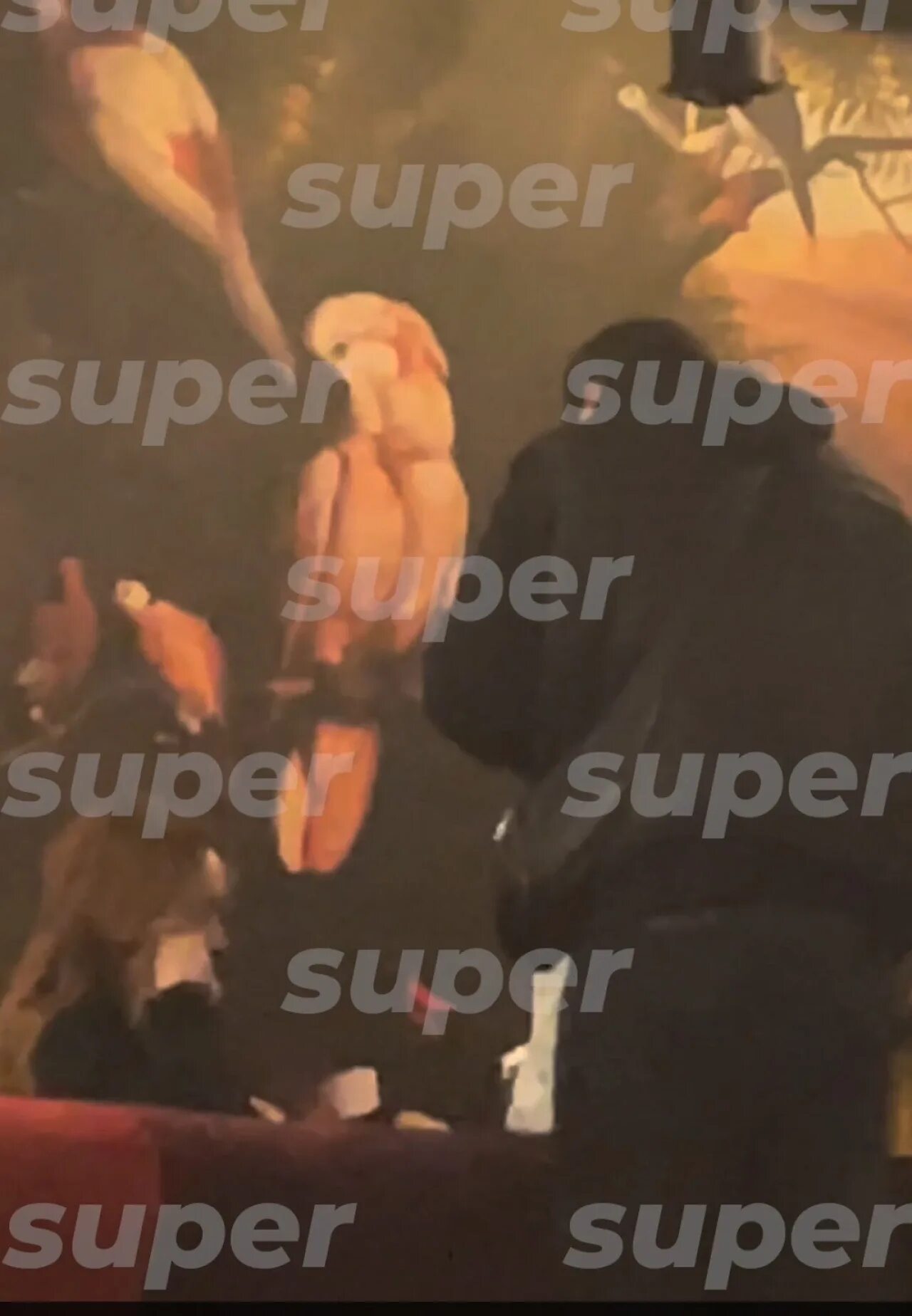 Чьи концерты отменили после вечеринки. Вечеринка после вечеринки. Чьи концерты отменили после вечеринки. Чьи концерты отменили после вечеринки. Чьи концерты отменили после вечеринки.