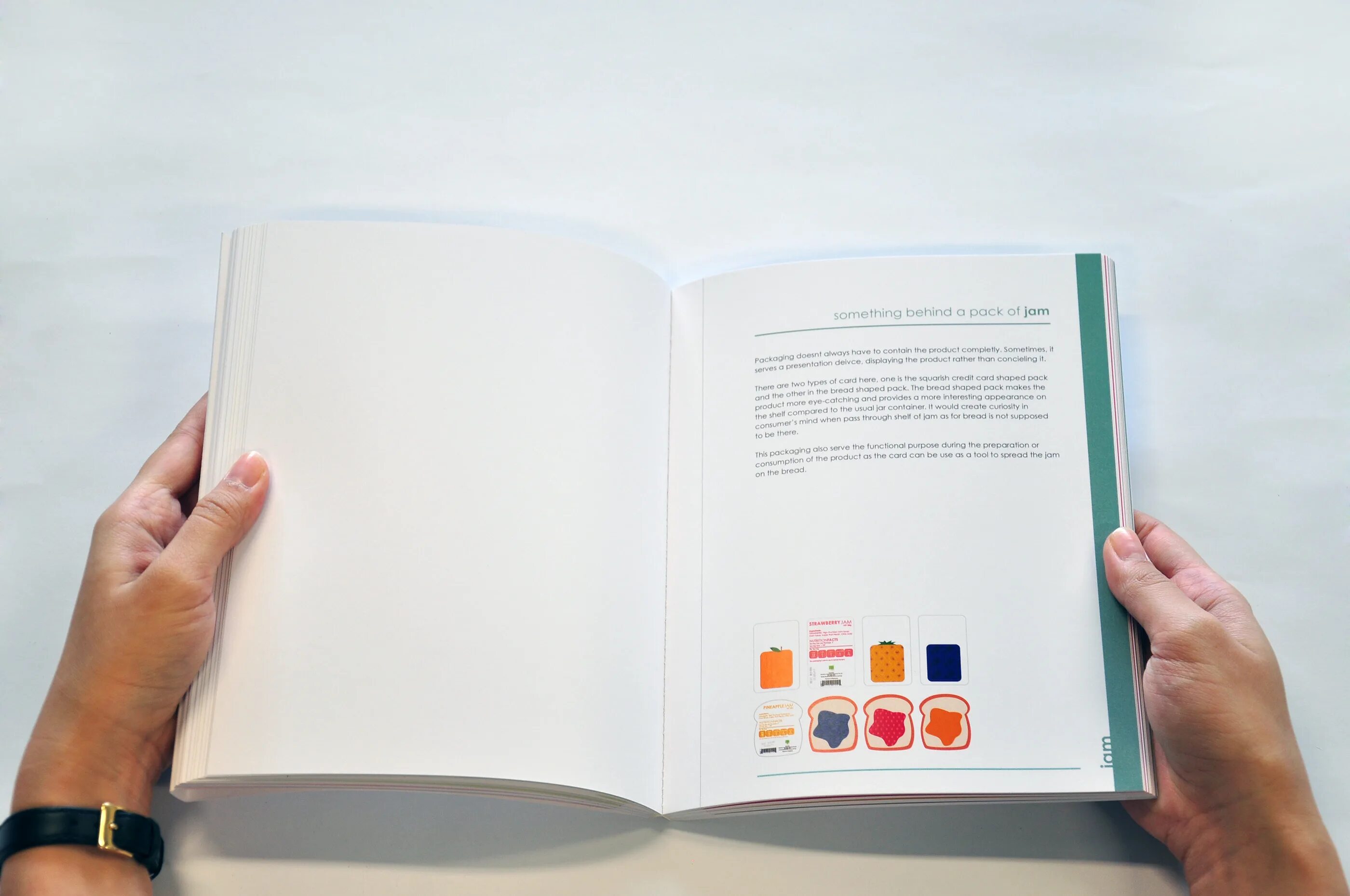 Designers guide. Гайдбук. blue book guidebook.