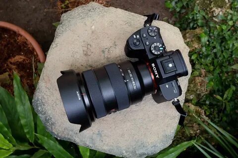 Sony fe gm