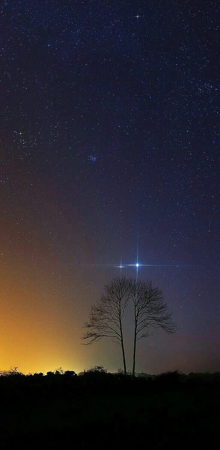 Какая звезда является самой яркой. Звезда Сириус на ночном небе.