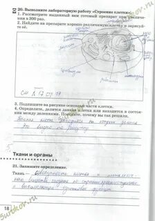 Лабораторная работа стр 287 биология 8 класс