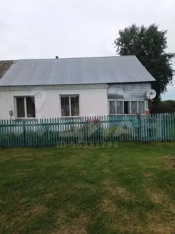 Деревня половинкино алтайский край. Село половинкино алтайский край. Село половинка. Село половинкино луганская область. Село половинка алтайский край.