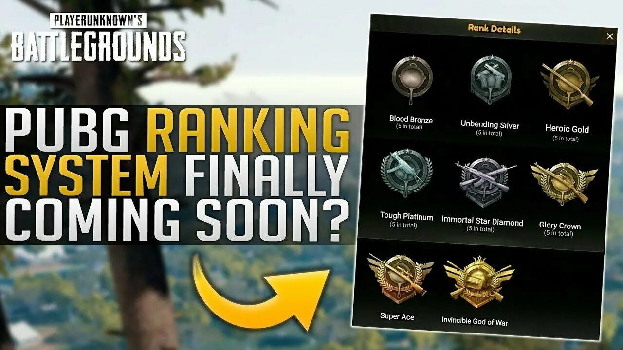 Все ранги в пабге. Звания в пубг мобайл. звания в pubg. ранги пубг. ранги в пабг мобайл.