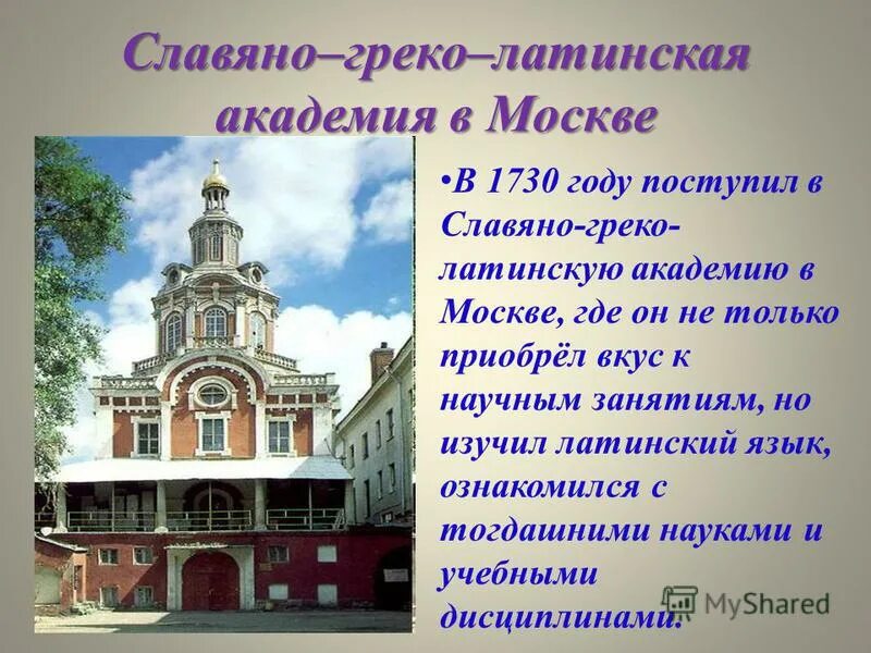 славяно греко латинская академия история