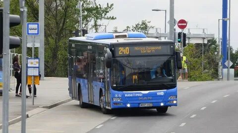 Маршрут автобуса 240