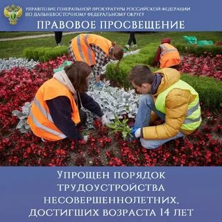 Трудоустройство несовершеннолетних опека