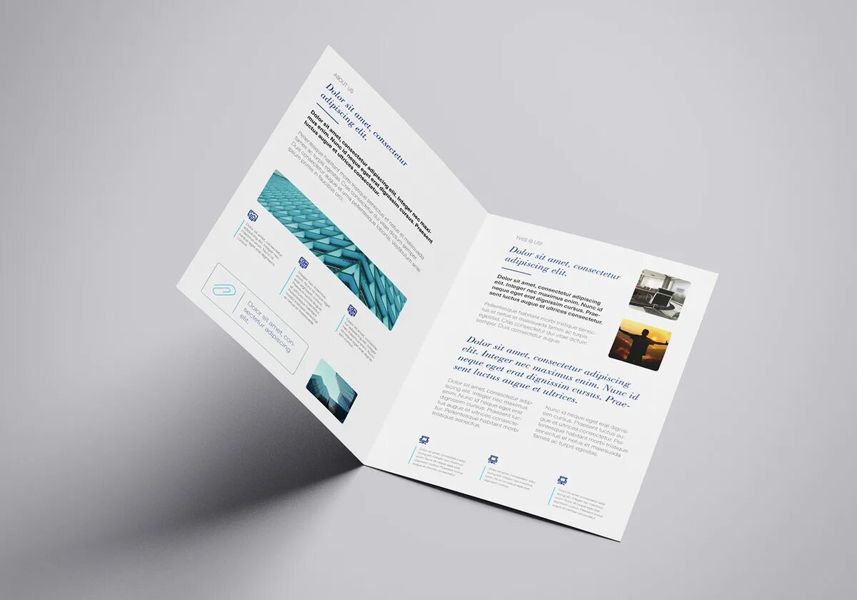 Leaflet 1