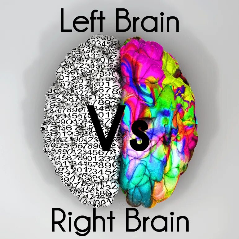 Leave the brain. Разноцветный мозг. Left Brain. Left Brain right Brain. Left and right Brain thinking.