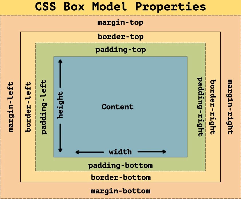 Margin в html. Margin padding CSS. Margin padding разница. Схема margin padding. Отступы padding margin.