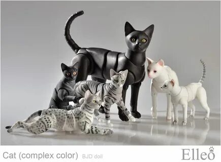 Cat partners