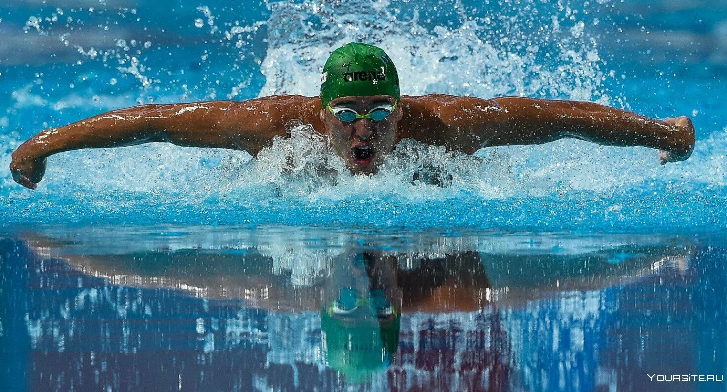 Пловец баттерфляй. Баттерфляй шимай. Путин баттерфляй бассейн. Баттерфляй шимай. Стиль плавания баттерфляй.