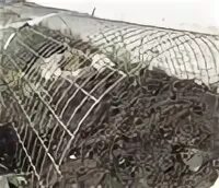 Арматура для укрытия роз