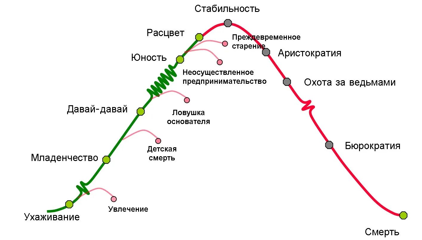 Цикл организации грейнера. Ицхак Адизес жизненный цикл организации. Жизненный цикл корпорации Адизес. Ицхак Адизес стадии жизненного цикла организации. Ицхак Адизес модель жизненного цикла.