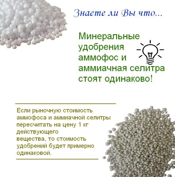 Как вносить аммиачную селитру весной