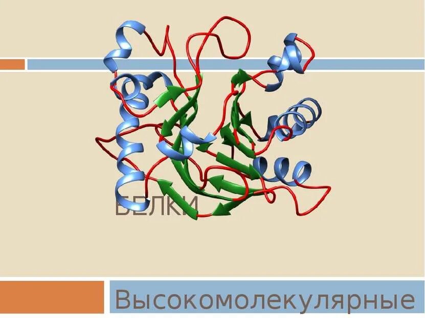 Белки высокомолекулярные вещества структура. Высокомолекулярные белки схема. Низкомолекулярные и высокомолекулярные белки. Белки состоят из Альфа и.