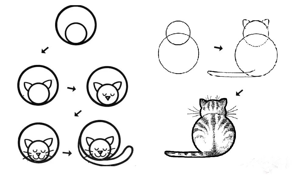 Уроки рисования 6 класс. Простые пошаговые рисунки. Пошаговые схемы рисования для детей. Рисунки по этапно для начинающих. Схема рисования кошки.