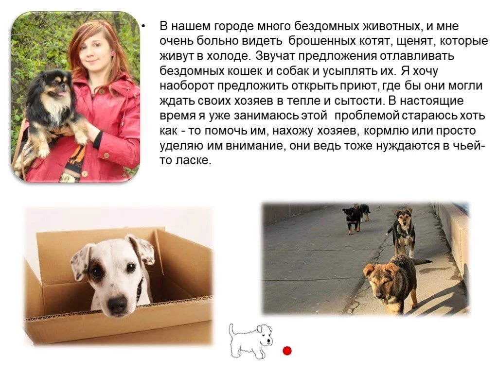 Эссе бездомные животные на английском. Презентация на тему бездомных животных. Бездомных животных. Эссе бездомные животные на английском. Бездомные животные презентация.