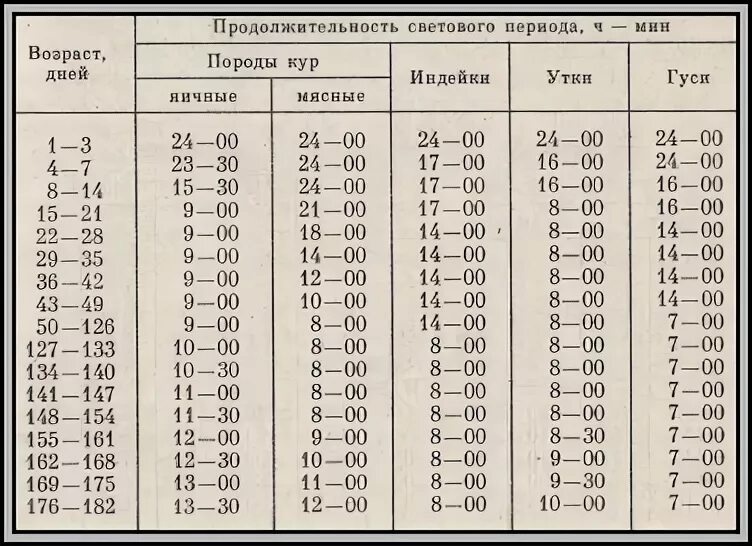 Температура в брудере для индюшат. Температурный режим для индюшат таблица. Температурный и световой режим для индюшат. Температурный режим для индюков таблица. Температурный режим для индюшат с первых дней жизни таблица.