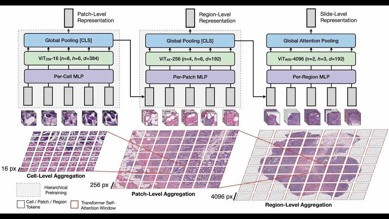 Transformer learning. Vit архитектура. vision transformer. self supervised learning. deeplab architecture.