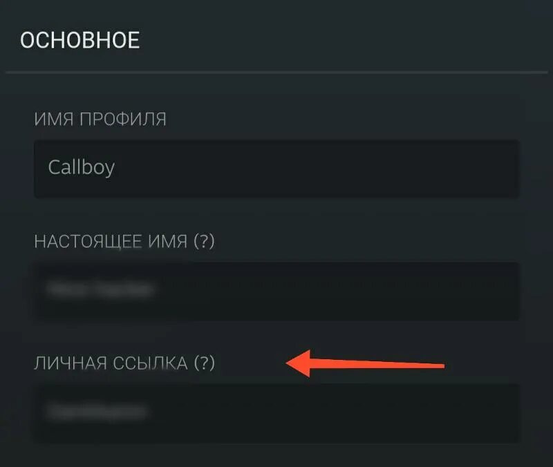 Что такое логин стим. Логин в стиме. личная ссылка стим. название аккаунта. логин в стиме как узнать.